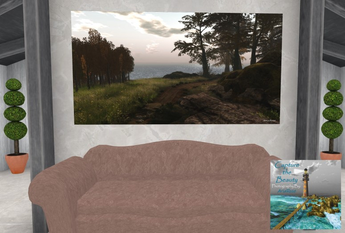 Path Untaken #1- By AriaRose