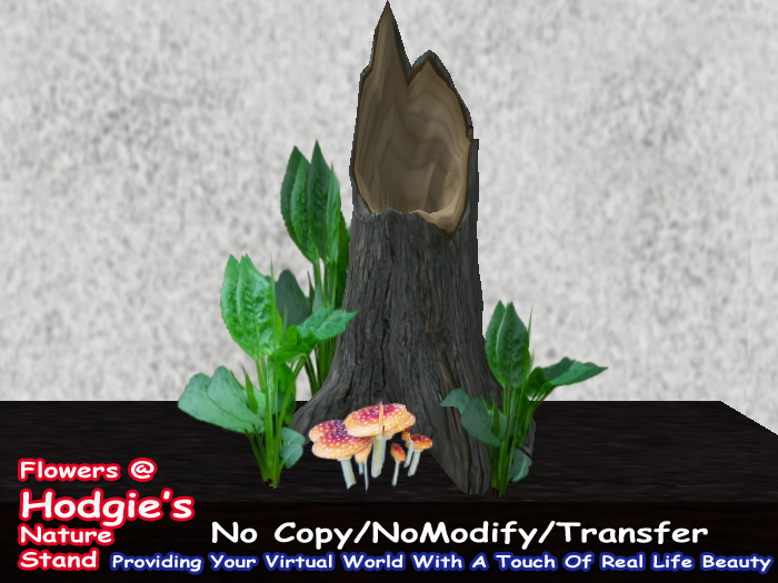 Stump Arrangement  With Mushrooms & Forest Plants