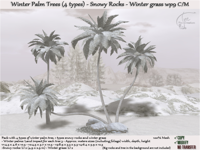Palm Trees Snowy Winter 4 types & Rocks wp9