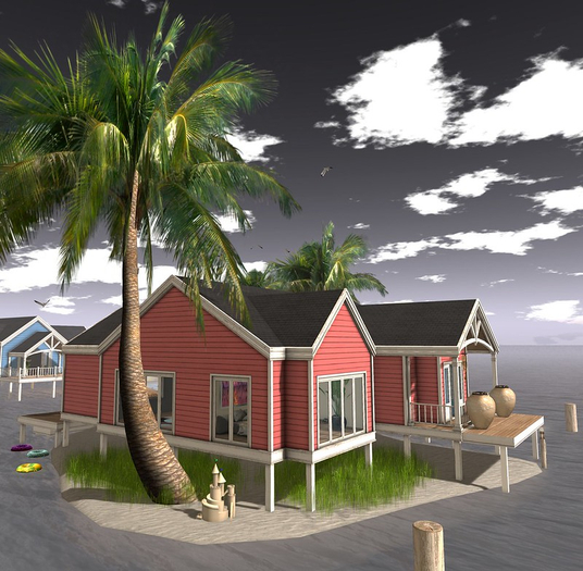 AfterImage Small Island with Palm & Grasses Boxed