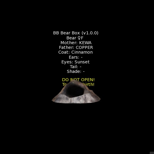 BB Bear Box