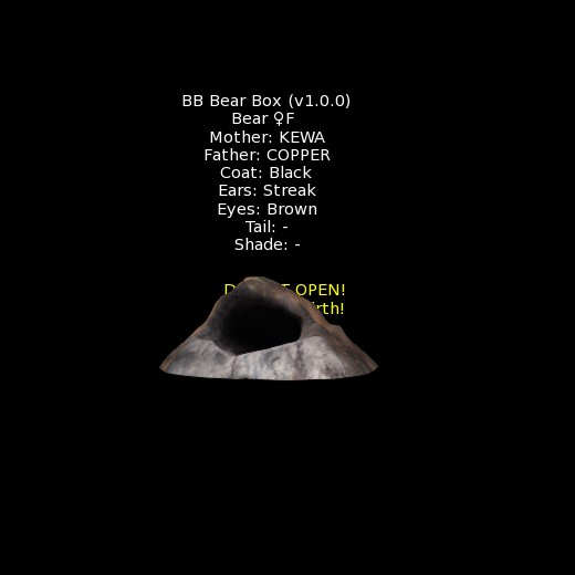 BB Bear Box