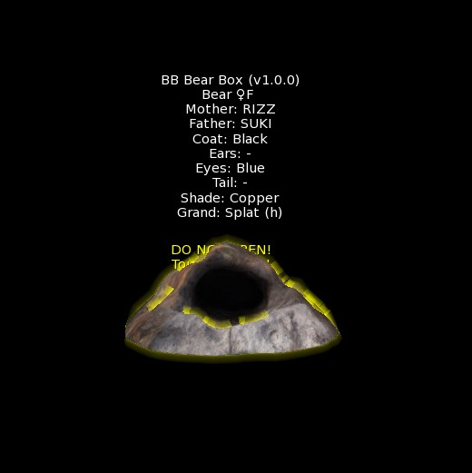 BB Bear Box