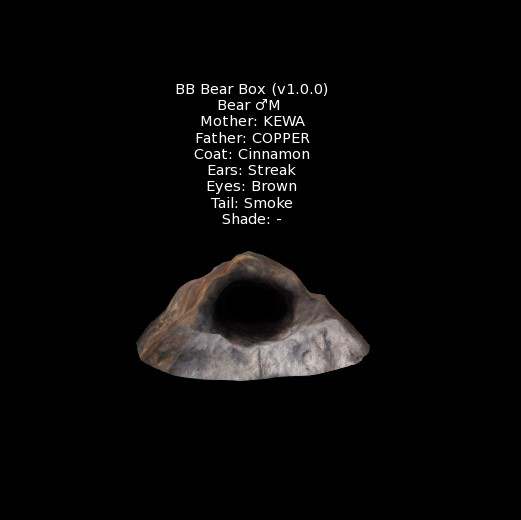 BB Bear Box