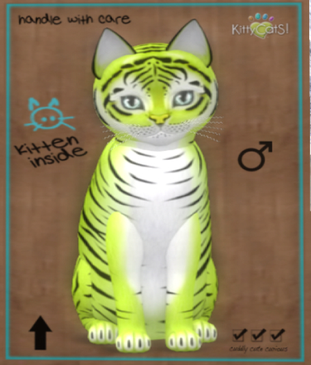KittyCatS Box - New Born Kitten M tiger