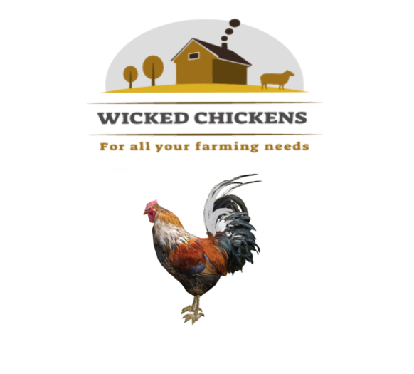 DFS Rooster (ACTUAL ITEM) 0 days old