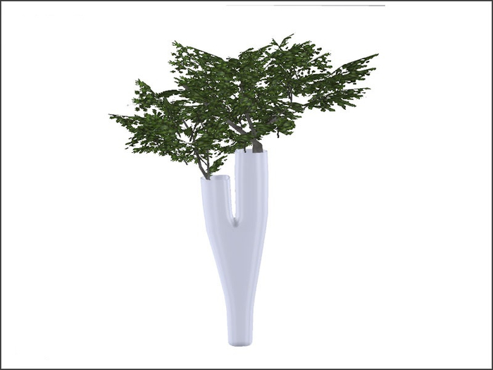 Groot Plant Full perm