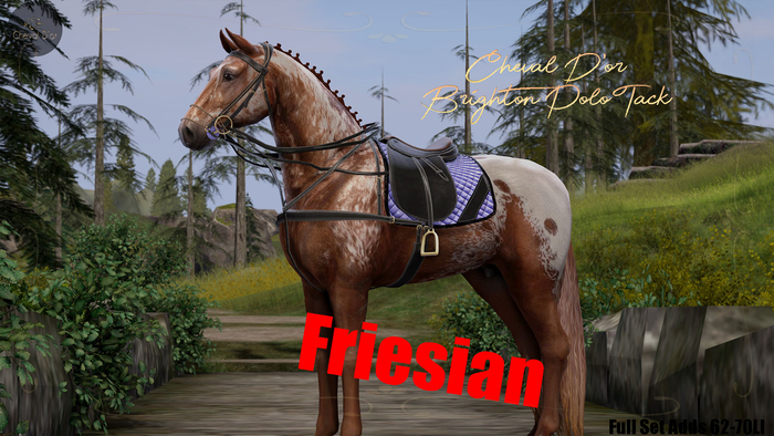 Cheval D'or / TeeglePet Friesian / Brighton Polo Tack Set. (Boxed)
