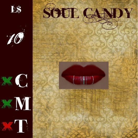 SC 5 Ring Lip Piercing - Silver  (BOXED)