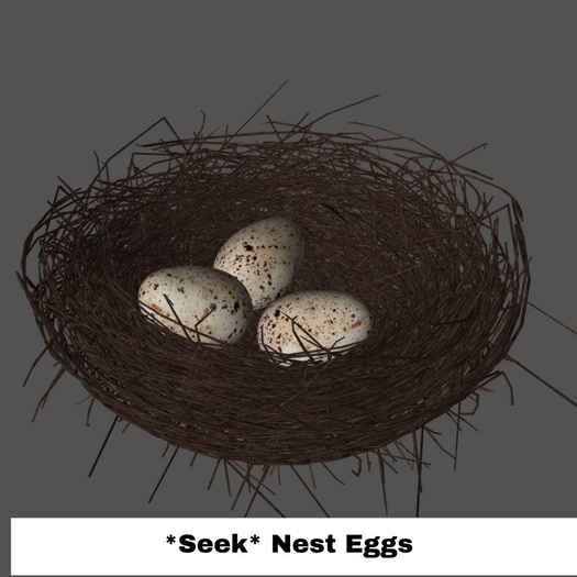 *Seek* Nest Eggs