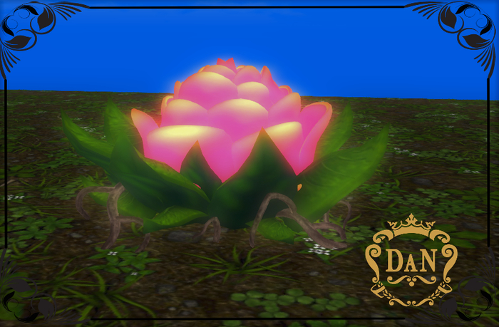 LILY FOR GARDEN 4(LI) FULL PERM
