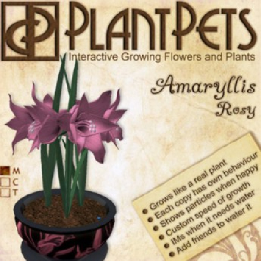 PlantPet Seed [Amaryllis *Small Rosy*]