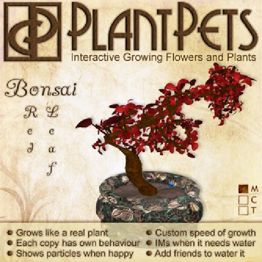 PlantPet Seed [Bonsai *Red Leaf*]