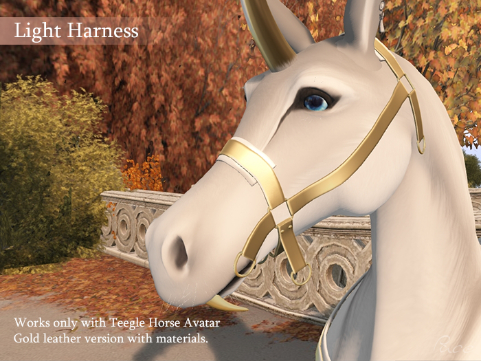 Pace. Light Bridle - Gold 'n White
