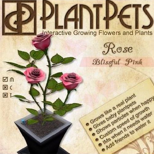 PlantPet Seed [Rose *Blissful Pink*]