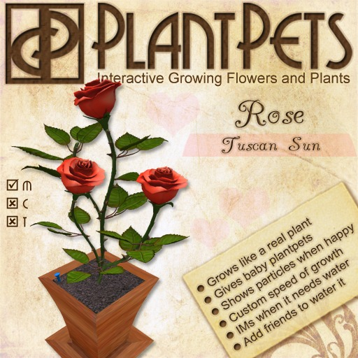 PlantPet Seed [Rose *Tuscan Sun*]