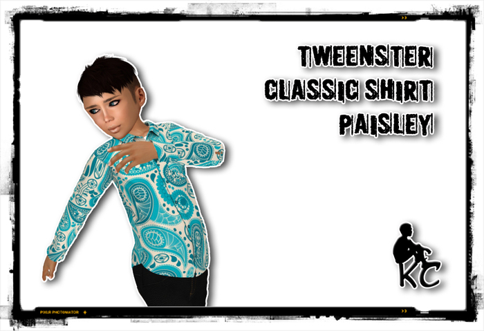 KC Classic Shirt - Paisley - 3