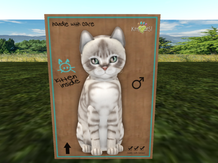 KittyCatS Box - New Born Kitten NORMAL