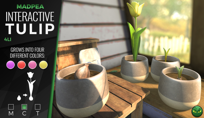 MadPea Interactive Tulip