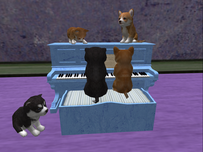 Puppy Piano