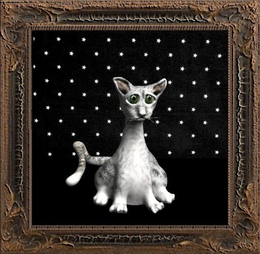 Cica's cat 1