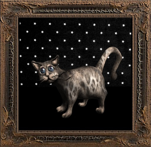 Cica's cat 3