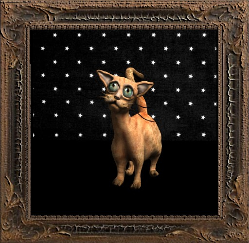 Cica's cat 4