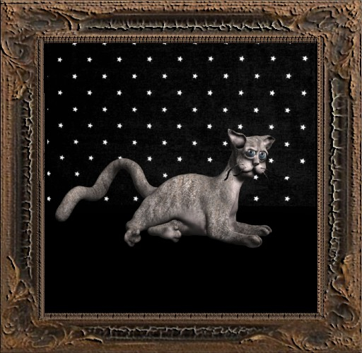 Cica's cat 8