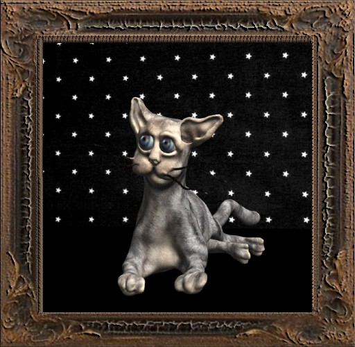 Cica's cat 9