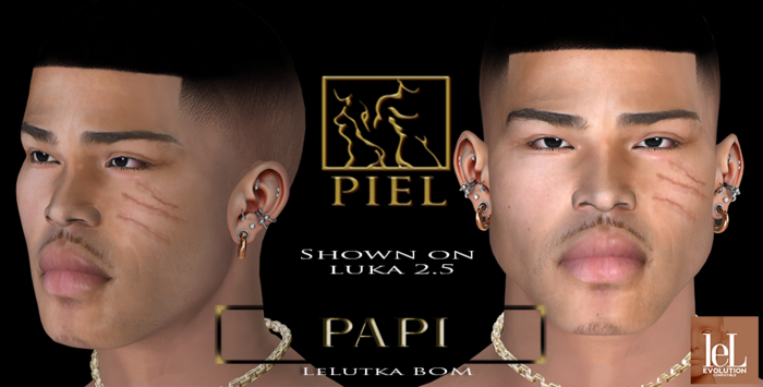Piel - Papi Bento Shape Unpacker