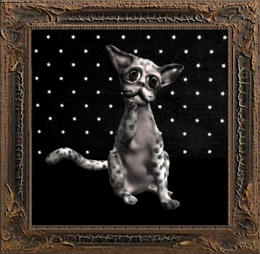 Cica's cat 15