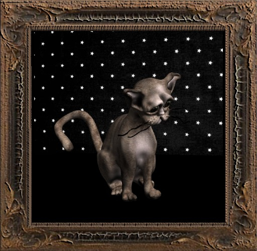 Cica's cat 16