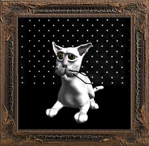 Cica's cat 19