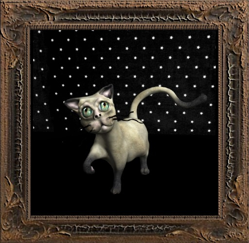 Cica's cat 25