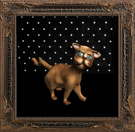 Cica's cat 27