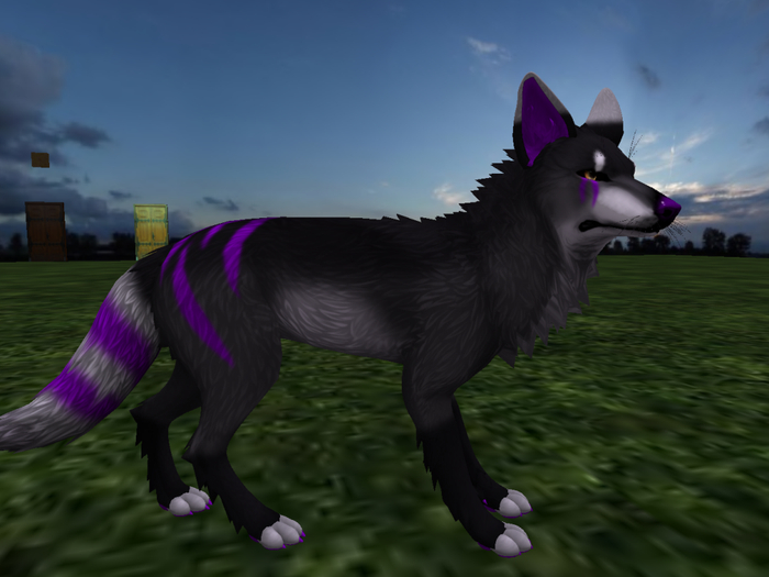 NM's Junk & Stuff Nova Spark (Boxed)