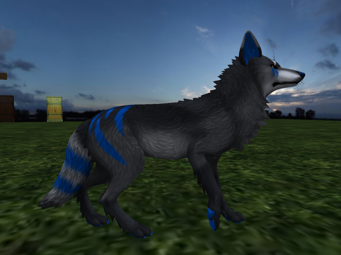 NM's Junk & Stuff Sky Spark (Boxed)