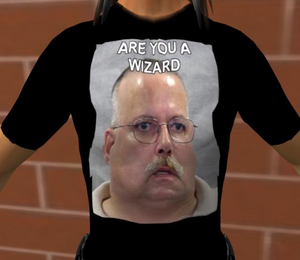 Are You A Wizard T
