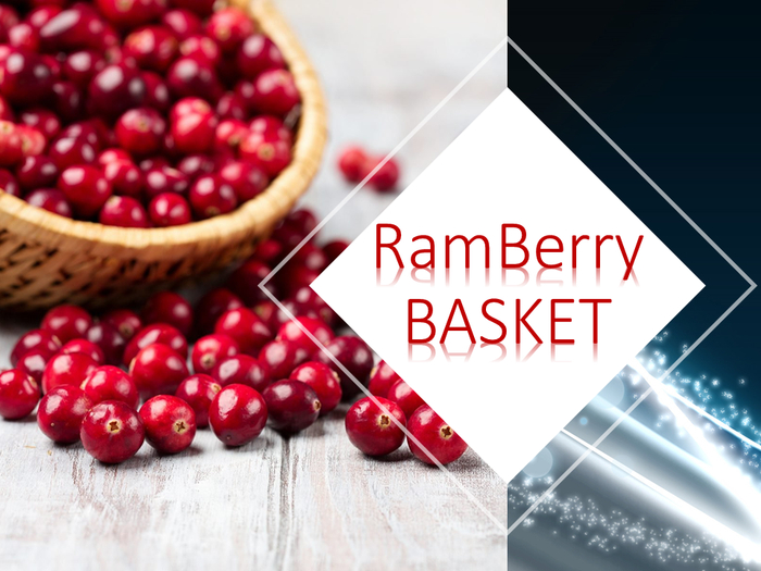 DFS TEXTURE ONLY RAMBERRY BASKET 
