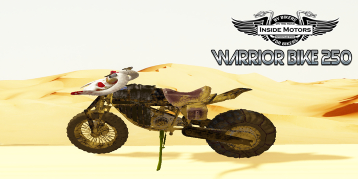 WARRIOR BIKE 250