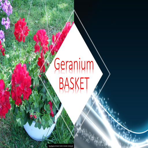 DFS TEXTURE ONLY GERANIUM BASKET
