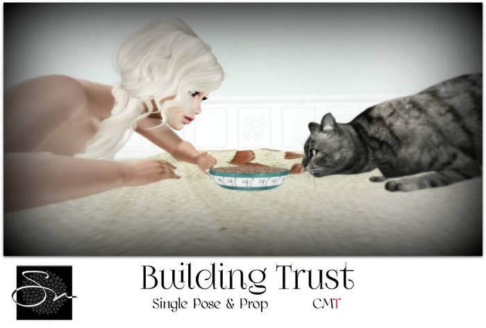 **SN~ Building Trust
