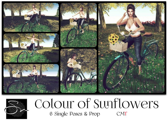 **SN~ Colour of Sunflowers