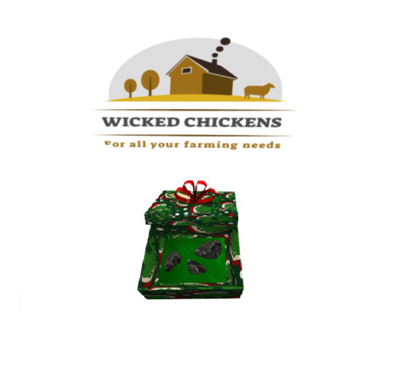 DFS Xmas Box Of Coal (ACTUAL ITEM)