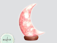 Ariskea[Celeste] Moon Himalayan Salt Lamp[3]