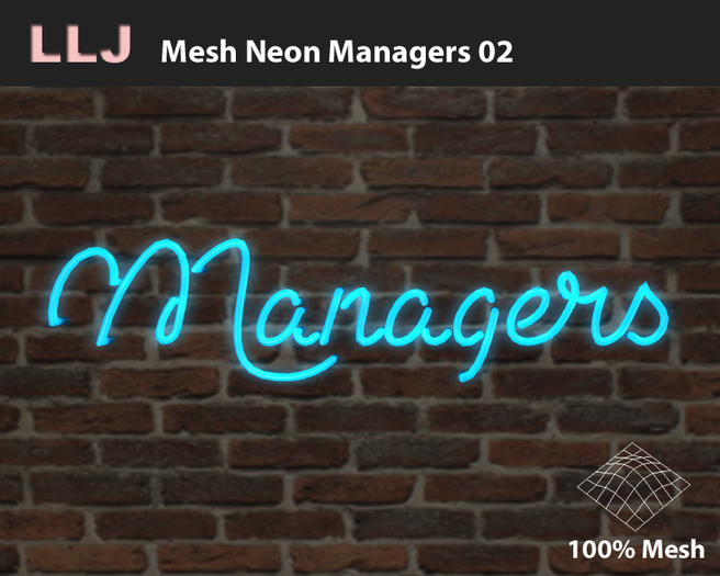 LLJ Mesh Neon Managers 02