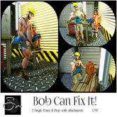 **SN~ Bob Can Fix It!