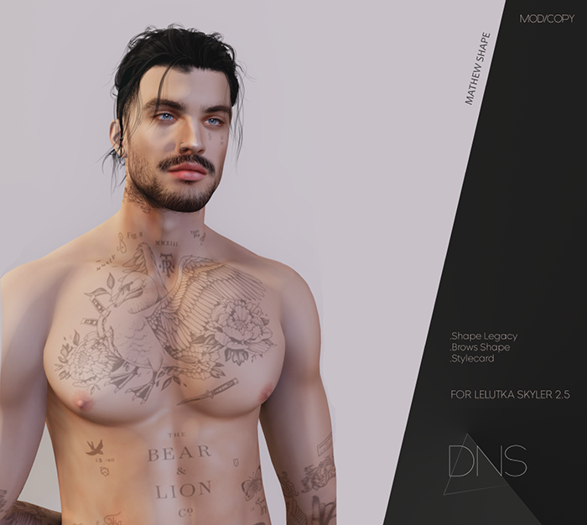 DNS - Mathew Shape & Style card Lelutka SKYLER 2.5 [Legacy]