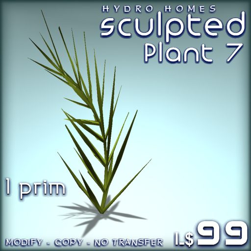 Plant