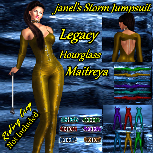 janel's Storm Jumpsuit Outfit